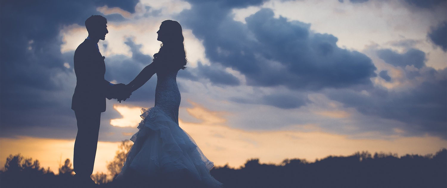 Safari Wedding